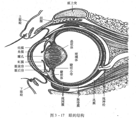 蜜桃成品人视频入口