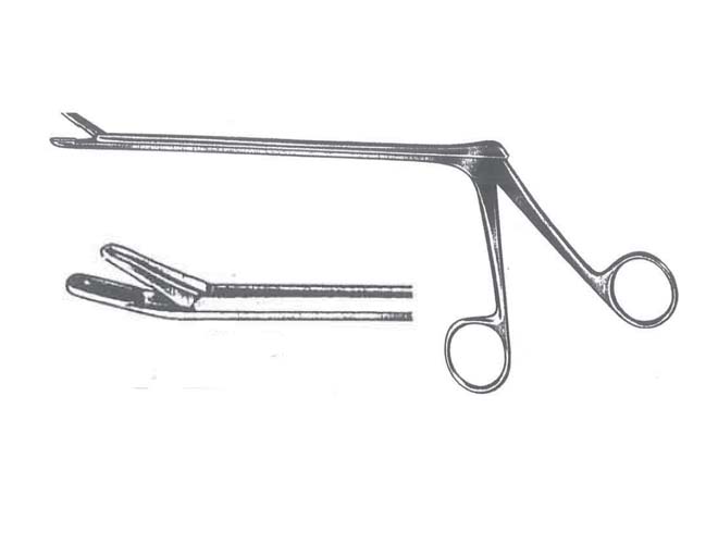 蜜桃成品人视频入口