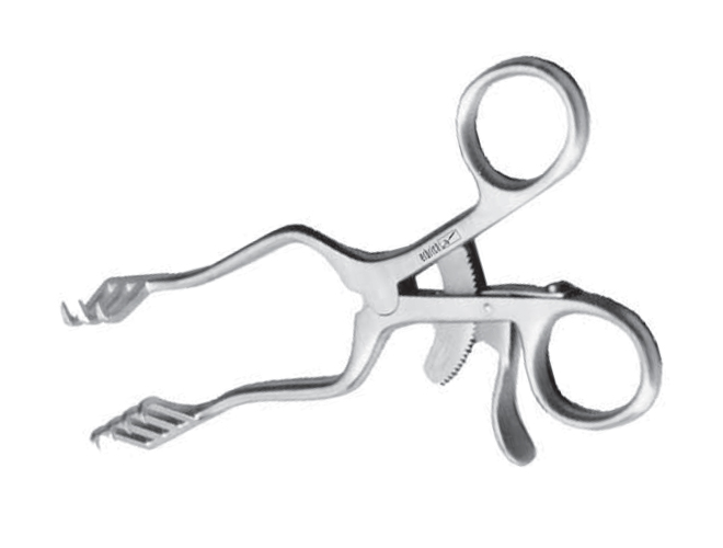 蜜桃成品人视频入口